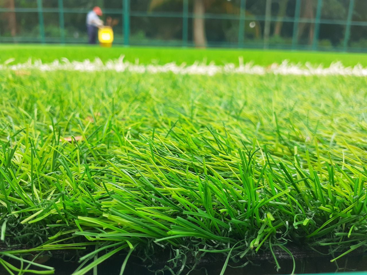 Panduan Memilih Rumput Sintetis Lapangan Futsal yang Tepat dan Awet